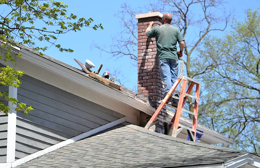 Chimney & Fireplace Inspections Services in Bridgeton, NJ